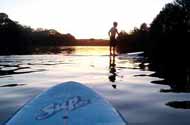 SUP Board - Water View
